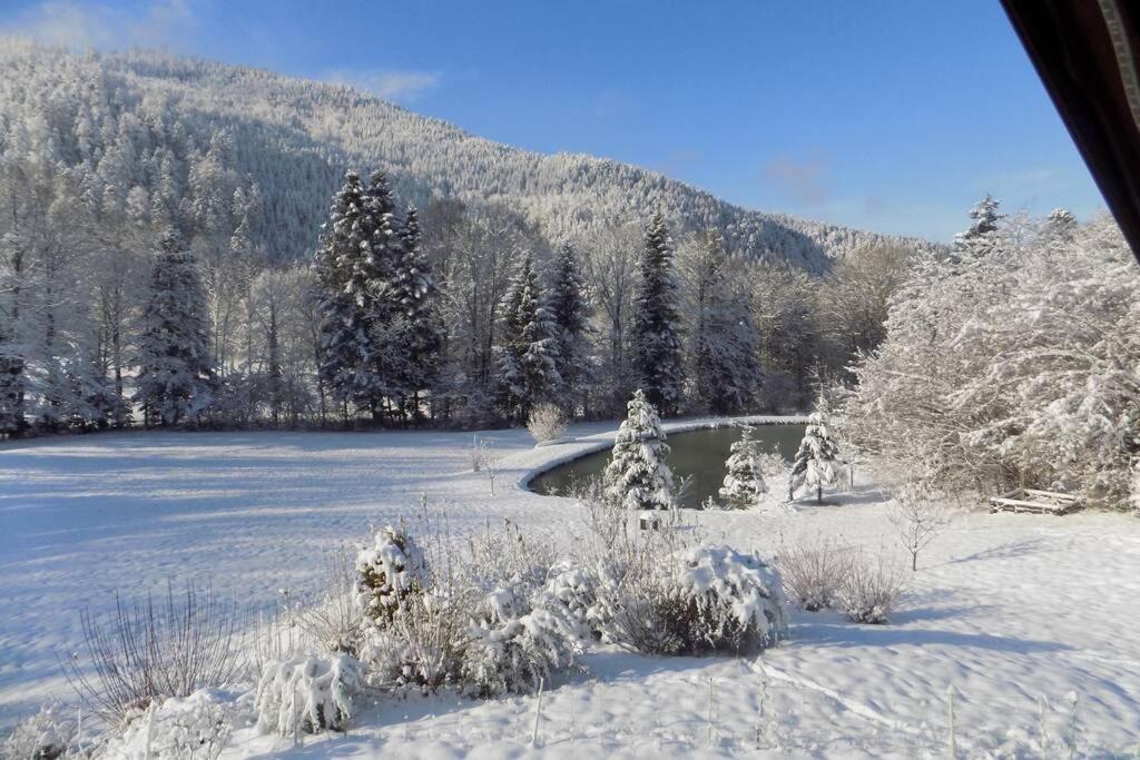 Chalet Des Charbonniers Avec Etang Saint-Maurice-sur-Moselle Exterior foto