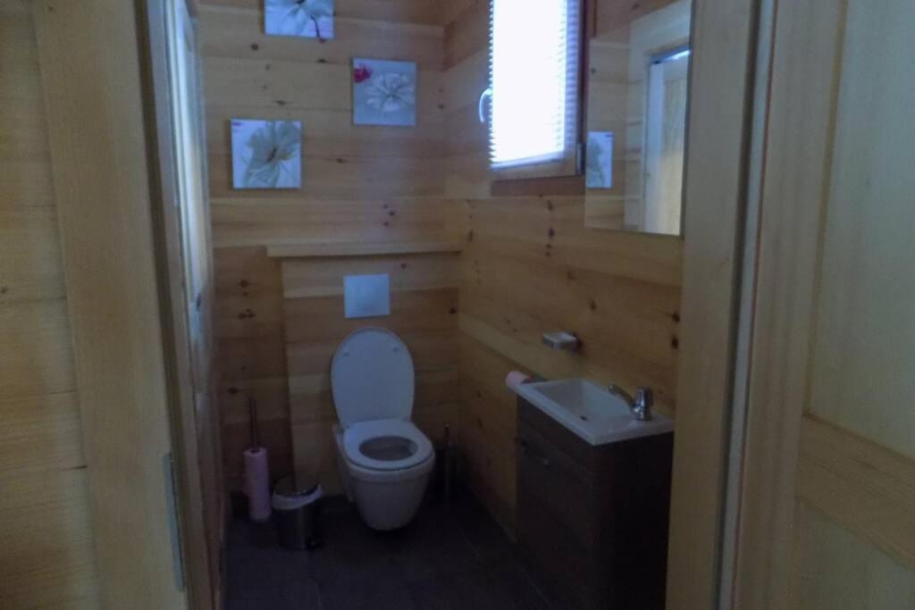 Chalet Des Charbonniers Avec Etang Saint-Maurice-sur-Moselle Exterior foto